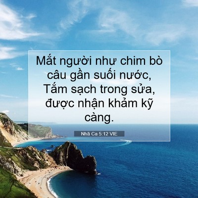 Picture 07 - Nhã Ca 5:12 VIE - Mắt người như chim bò câu gần suối - Bible Verse Picture