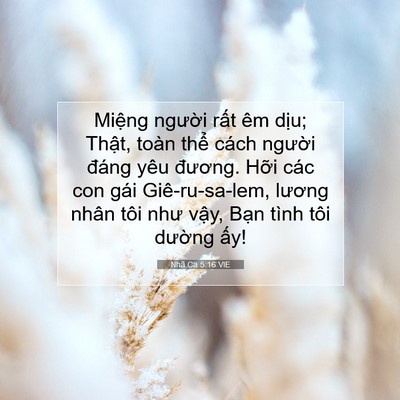 Picture 07 - Nhã Ca 5:16 VIE - Miệng người rất êm dịu; Thật, toàn - Bible Verse Picture