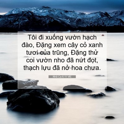 Picture 07 - Nhã Ca 6:11 VIE - Tôi đi xuống vườn hạch đào, Đặng - Bible Verse Picture
