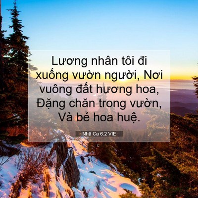 Picture 07 - Nhã Ca 6:2 VIE - Lương nhân tôi đi xuống vườn người, - Bible Verse Picture