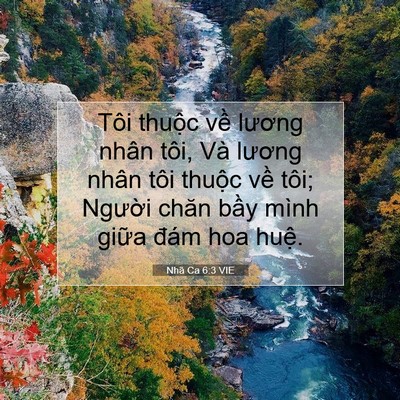 Picture 07 - Nhã Ca 6:3 VIE - Tôi thuộc về lương nhân tôi, Và lương - Bible Verse Picture