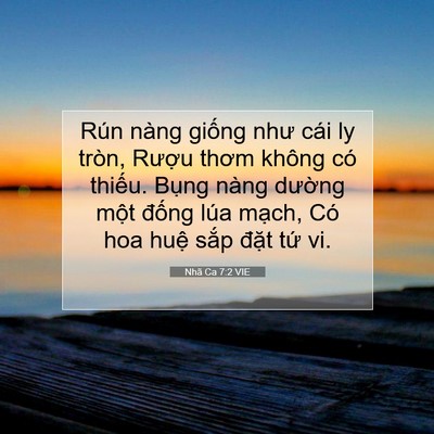 Picture 07 - Nhã Ca 7:2 VIE - Rún nàng giống như cái ly tròn, Rượu - Bible Verse Picture