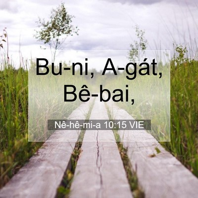 Picture 07 - Nê-hê-mi-a 10:15 VIE - Bu-ni, A-gát, - Bible Verse Picture
