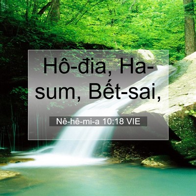 Picture 07 - Nê-hê-mi-a 10:18 VIE - Hô-đia, Ha-sum, - Bible Verse Picture
