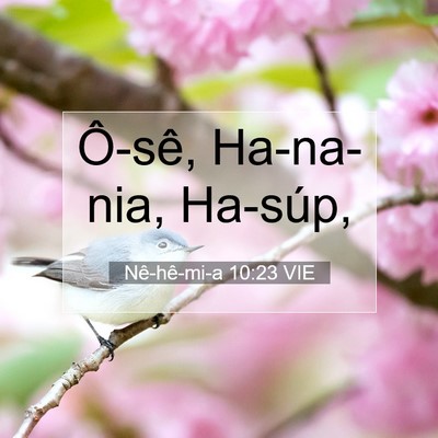 Picture 07 - Nê-hê-mi-a 10:23 VIE - Ô-sê, Ha-na-nia, - Bible Verse Picture