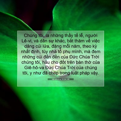 Picture 07 - Nê-hê-mi-a 10:34 VIE - Chúng tôi, là những thầy tế lễ, - Bible Verse Picture
