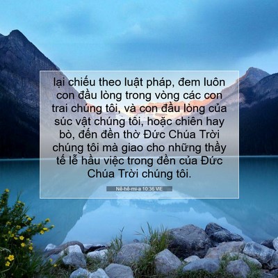 Picture 07 - Nê-hê-mi-a 10:36 VIE - lại chiếu theo luật pháp, đem luôn con - Bible Verse Picture