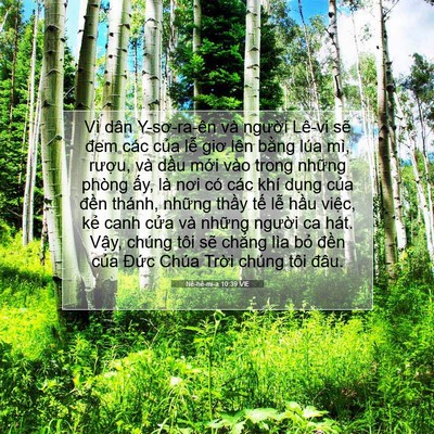 Picture 07 - Nê-hê-mi-a 10:39 VIE - Vì dân Y-sơ-ra-ên và người Lê-vi sẽ - Bible Verse Picture