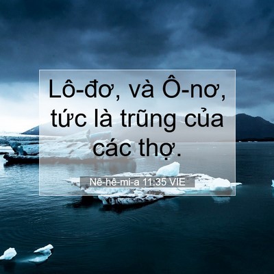 Picture 07 - Nê-hê-mi-a 11:35 VIE - Lô-đơ, và Ô-nơ, tức là trũng của các - Bible Verse Picture