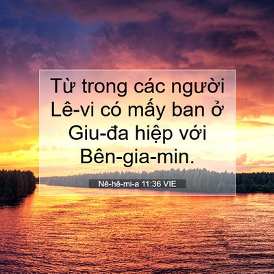 Picture 07 - Nê-hê-mi-a 11:36 VIE - Từ trong các người Lê-vi có mấy ban ở - Bible Verse Picture