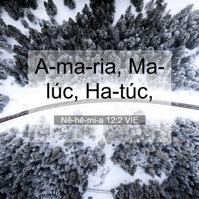 Picture 07 - Nê-hê-mi-a 12:2 VIE - A-ma-ria, Ma-lúc, - Bible Verse Picture