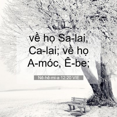 Picture 07 - Nê-hê-mi-a 12:20 VIE - về họ Sa-lai, Ca-lai; về họ A-móc, - Bible Verse Picture