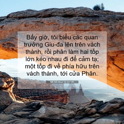 Picture 07 - Nê-hê-mi-a 12:31 VIE - Bấy giờ, tôi biểu các quan trưởng - Bible Verse Picture
