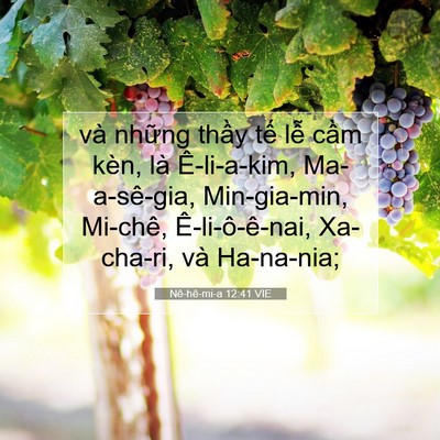 Picture 07 - Nê-hê-mi-a 12:41 VIE - và những thầy tế lễ cầm kèn, là - Bible Verse Picture