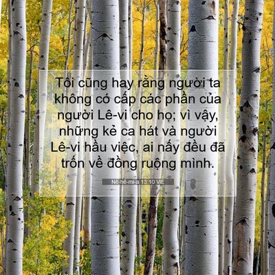 Picture 07 - Nê-hê-mi-a 13:10 VIE - Tôi cũng hay rằng người ta không có - Bible Verse Picture