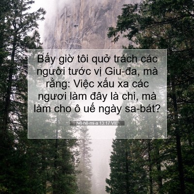 Picture 07 - Nê-hê-mi-a 13:17 VIE - Bấy giờ tôi quở trách các người - Bible Verse Picture