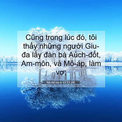 Picture 07 - Nê-hê-mi-a 13:23 VIE - Cũng trong lúc đó, tôi thấy những - Bible Verse Picture