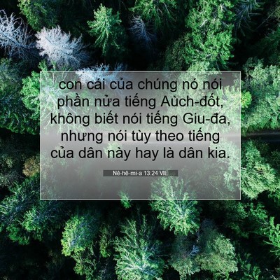Picture 07 - Nê-hê-mi-a 13:24 VIE - con cái của chúng nó nói phần nửa - Bible Verse Picture