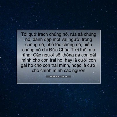 Picture 07 - Nê-hê-mi-a 13:25 VIE - Tôi quở trách chúng nó, rủa sả chúng - Bible Verse Picture