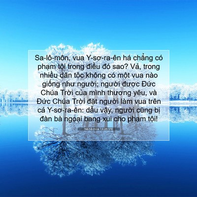 Picture 07 - Nê-hê-mi-a 13:26 VIE - Sa-lô-môn, vua Y-sơ-ra-ên há chẳng có - Bible Verse Picture