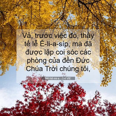Picture 07 - Nê-hê-mi-a 13:4 VIE - Vả, trước việc đó, thầy tế lễ - Bible Verse Picture