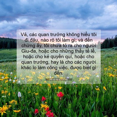 Picture 07 - Nê-hê-mi-a 2:16 VIE - Vả, các quan trưởng không hiểu tôi đi - Bible Verse Picture