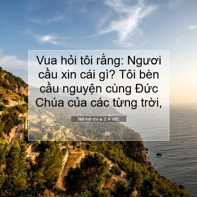 Picture 07 - Nê-hê-mi-a 2:4 VIE - Vua hỏi tôi rằng: Ngươi cầu xin cái - Bible Verse Picture