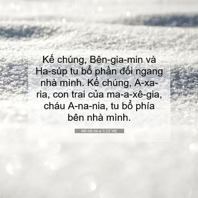 Picture 07 - Nê-hê-mi-a 3:23 VIE - Kế chúng, Bên-gia-min và Ha-súp tu bổ - Bible Verse Picture