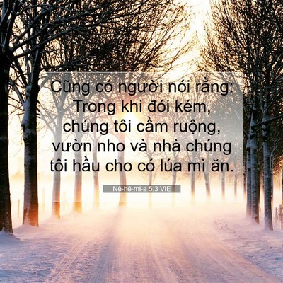Picture 07 - Nê-hê-mi-a 5:3 VIE - Cũng có người nói rằng: Trong khi đói - Bible Verse Picture