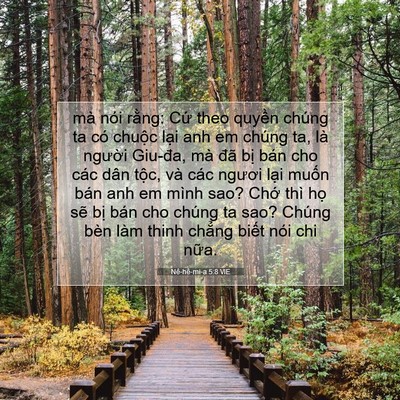 Picture 07 - Nê-hê-mi-a 5:8 VIE - mà nói rằng: Cứ theo quyền chúng ta có - Bible Verse Picture