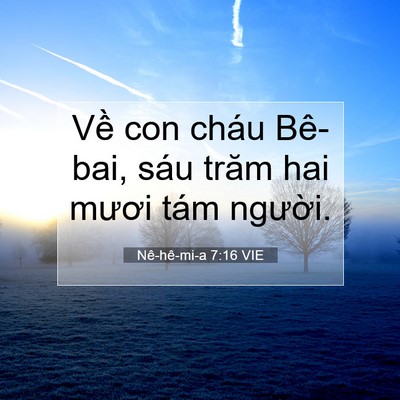 Picture 07 - Nê-hê-mi-a 7:16 VIE - Về con cháu Bê-bai, sáu trăm hai mươi - Bible Verse Picture