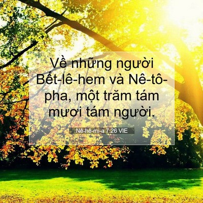 Picture 07 - Nê-hê-mi-a 7:26 VIE - Về những người Bết-lê-hem và - Bible Verse Picture