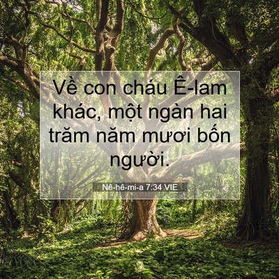 Picture 07 - Nê-hê-mi-a 7:34 VIE - Về con cháu Ê-lam khác, một ngàn hai - Bible Verse Picture