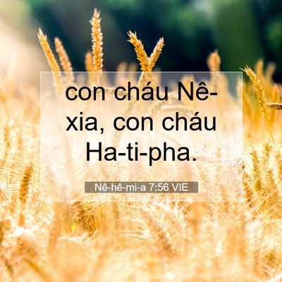Picture 07 - Nê-hê-mi-a 7:56 VIE - con cháu Nê-xia, con cháu - Bible Verse Picture