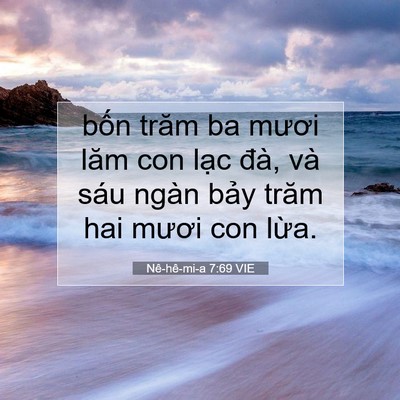 Picture 07 - Nê-hê-mi-a 7:69 VIE - bốn trăm ba mươi lăm con lạc đà, và - Bible Verse Picture