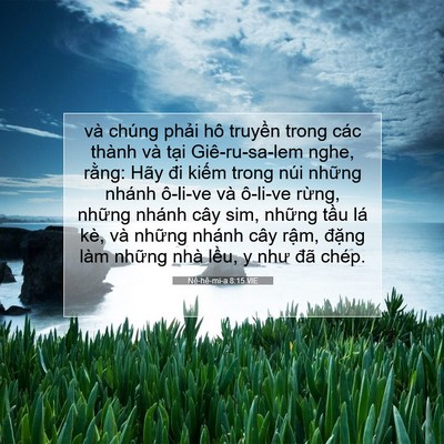 Picture 07 - Nê-hê-mi-a 8:15 VIE - và chúng phải hô truyền trong các thành - Bible Verse Picture