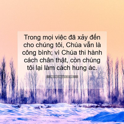 Picture 07 - Nê-hê-mi-a 9:33 VIE - Trong mọi việc đã xảy đến cho chúng - Bible Verse Picture