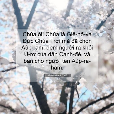 Picture 07 - Nê-hê-mi-a 9:7 VIE - Chúa ôi! Chúa là Giê-hô-va Đức Chúa - Bible Verse Picture