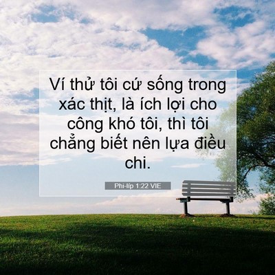 Picture 07 - Phi-líp 1:22 VIE - Ví thử tôi cứ sống trong xác thịt, là - Bible Verse Picture