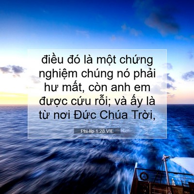 Picture 07 - Phi-líp 1:28 VIE - điều đó là một chứng nghiệm chúng - Bible Verse Picture
