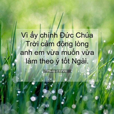 Picture 07 - Phi-líp 2:13 VIE - Vì ấy chính Đức Chúa Trời cảm động - Bible Verse Picture