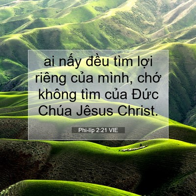 Picture 07 - Phi-líp 2:21 VIE - ai nấy đều tìm lợi riêng của mình, - Bible Verse Picture