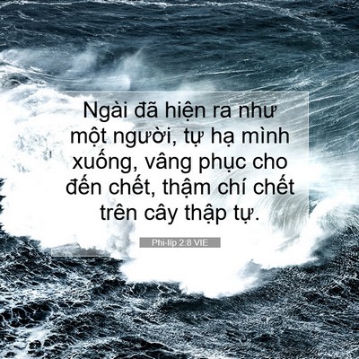 Picture 07 - Phi-líp 2:8 VIE - Ngài đã hiện ra như một người, tự - Bible Verse Picture