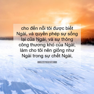 Picture 07 - Phi-líp 3:10 VIE - cho đến nỗi tôi được biết Ngài, và - Bible Verse Picture