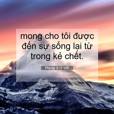 Picture 07 - Phi-líp 3:11 VIE - mong cho tôi được đến sự sống lại - Bible Verse Picture