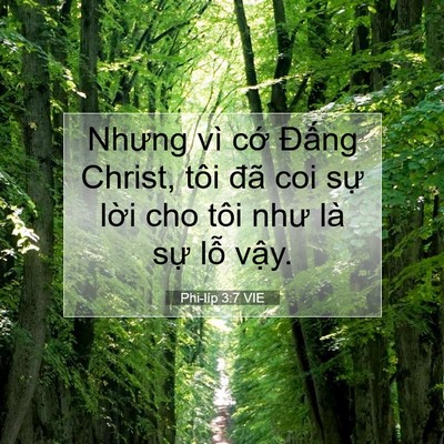Picture 07 - Phi-líp 3:7 VIE - Nhưng vì cớ Đấng Christ, tôi đã coi - Bible Verse Picture