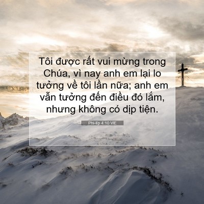 Picture 07 - Phi-líp 4:10 VIE - Tôi được rất vui mừng trong Chúa, vì - Bible Verse Picture