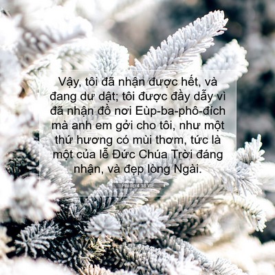Picture 07 - Phi-líp 4:18 VIE - Vậy, tôi đã nhận được hết, và đang - Bible Verse Picture