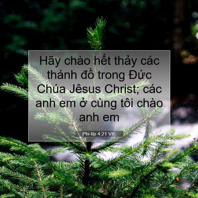 Picture 07 - Phi-líp 4:21 VIE - Hãy chào hết thảy các thánh đồ trong - Bible Verse Picture