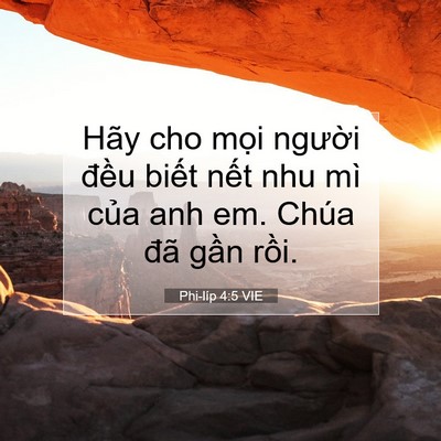 Picture 07 - Phi-líp 4:5 VIE - Hãy cho mọi người đều biết nết nhu - Bible Verse Picture